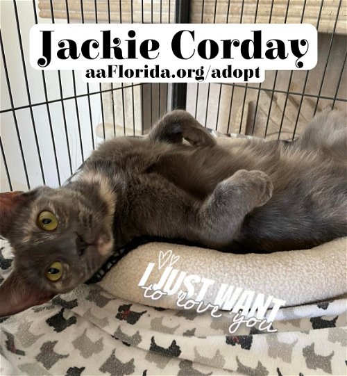 Jackie Corday