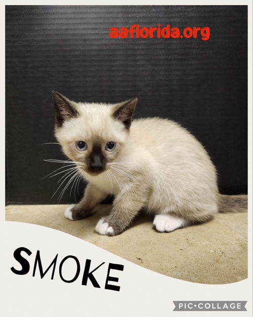 Smoke
