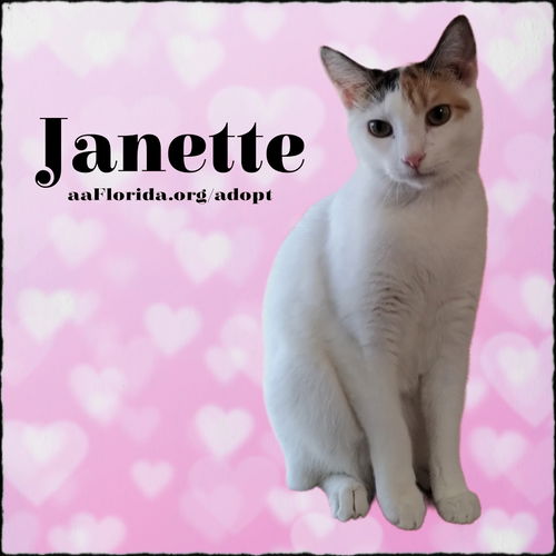 Janette