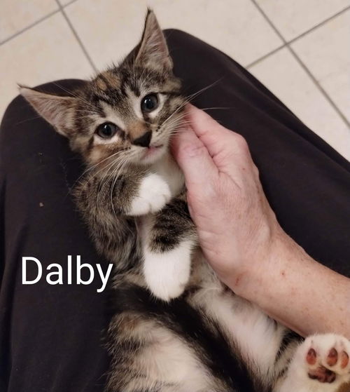 Dalby