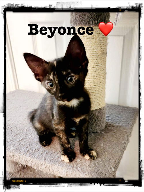Beyonce