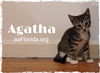 Agatha