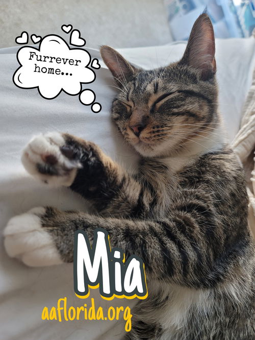 Mia