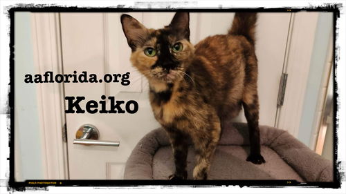 Keiko