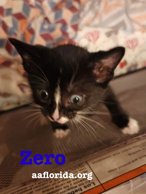 Zero