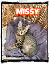 Missy