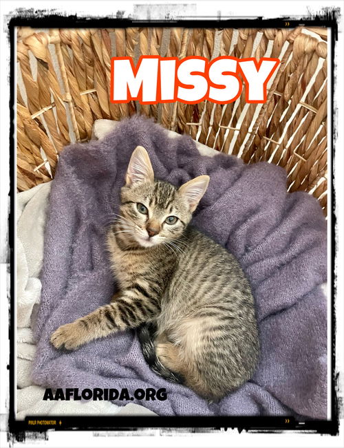 Missy