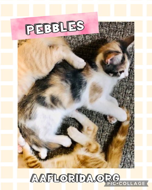 Pebbles