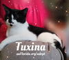 Tuxina