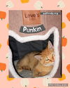 Punkin