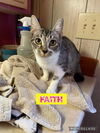 Faith