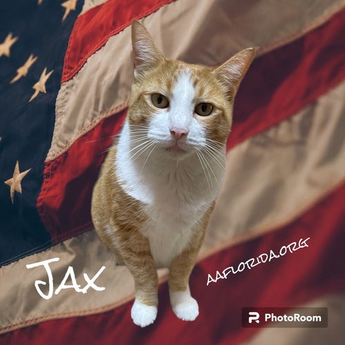 Jax