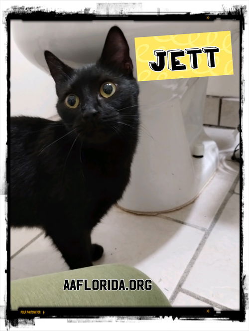 Jett