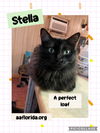 Stella