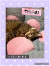 adoptable Cat in pensacola, FL named Temari