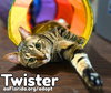 Twister