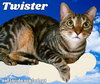 Twister