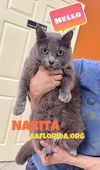 Nakita