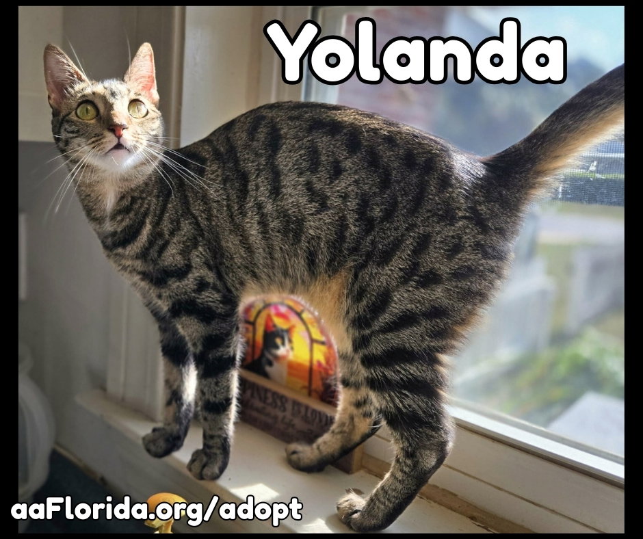 Yolanda - Goddess of Churu