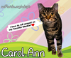 Carol Ann