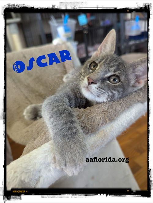 Oscar