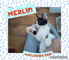 Merlin