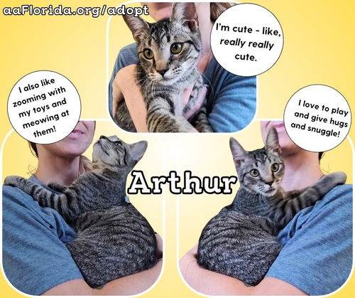 Arthur