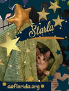 Starla