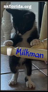 Milkman