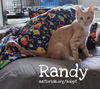 Randy