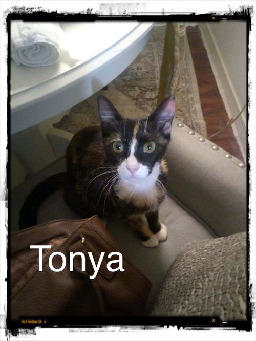 Tonya