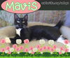 Mavis