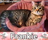 Frankie