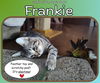 Frankie