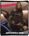 Penelope