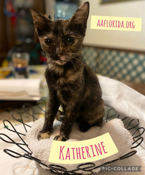 Katherine