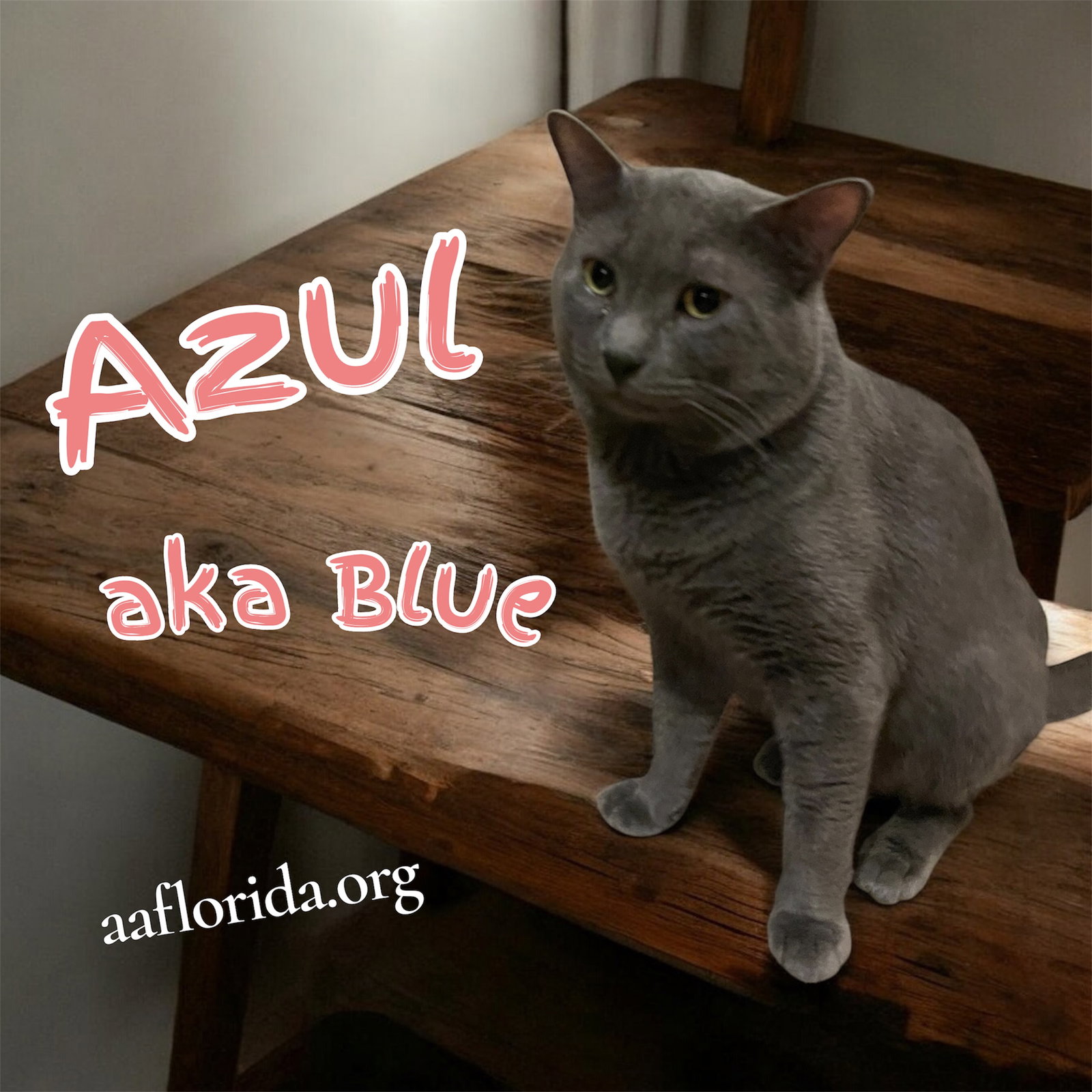 Azul