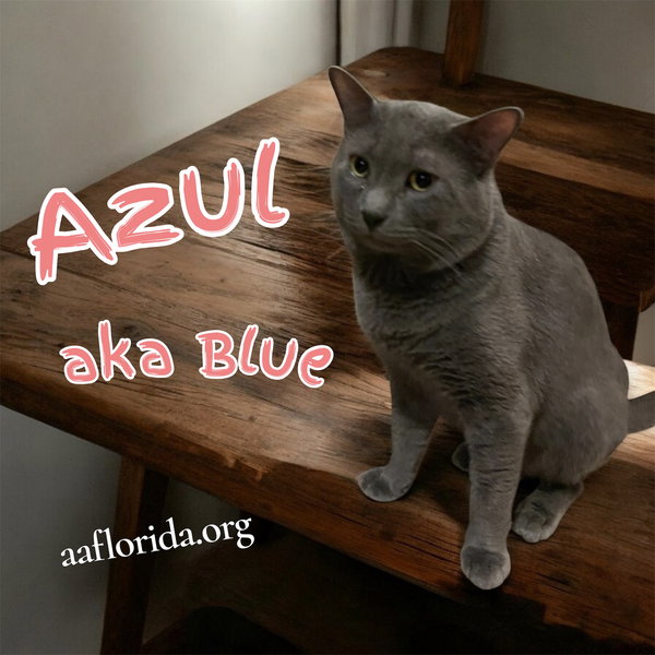 Azul