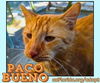 Paco Bueno