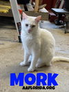 Mork *Cyd