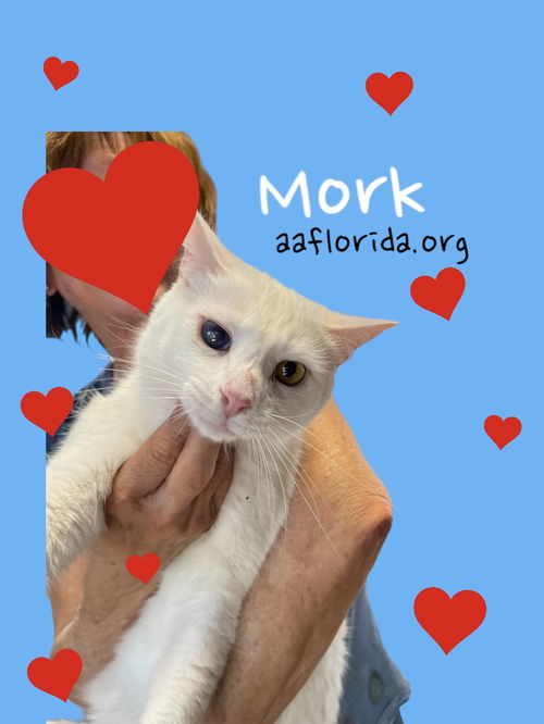 Mork *Cyd