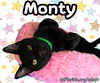Monty