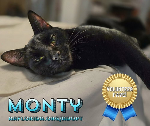 Monty