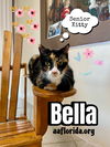 Bella *Cyd