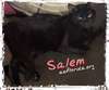 Salem