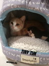 Tiny Tim