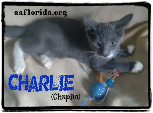 Charlie (Chaplin)