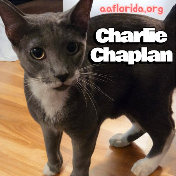 Charlie Chaplin