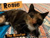 Rosie the Riveter