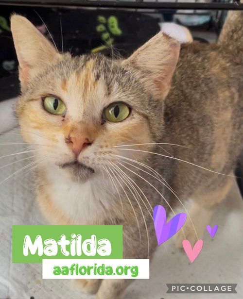 Matilda
